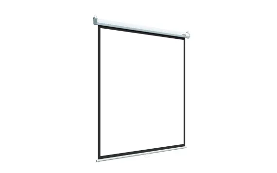 LEP-100110 Настенный экран Lumien Eco Picture