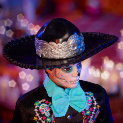 Кукла Барби Кен / Ken Dia de Muertos Doll 2024