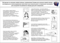 Укладка для оказания первой помощи пострадавшим на железнодорожном транспорте при оказании услуг по перевозкам пассажиров - "ФЭСТ" 
, арт. 2443