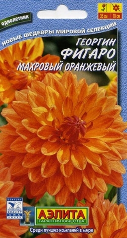 Георгина Фигаро оранжевый махровый 5-7шт Аэлита