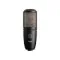 AKG P220