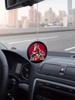 Подвеска в машину - Arizona Coyotes