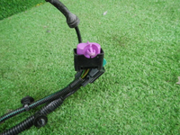 DSCN1961.JPG