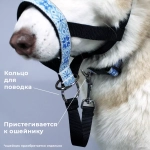 Недоуздок "Поларис" для собак