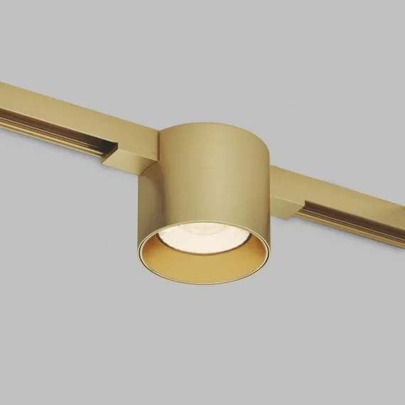 Трековый светильник SHINE SPOT ZigBee | ШАЙН СПОТ Zigbee DK5943-SB Denkirs