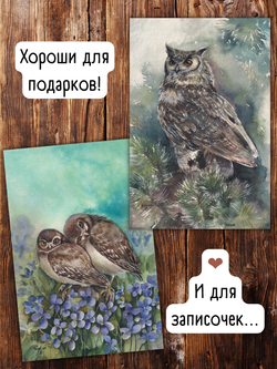 Совушки Татьяны Пловецкой. 10 открыток