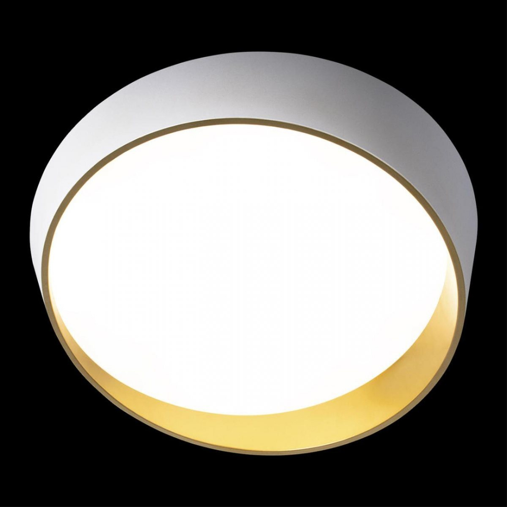 Потолочный светодиодный светильник Loft It Coin 10199 White