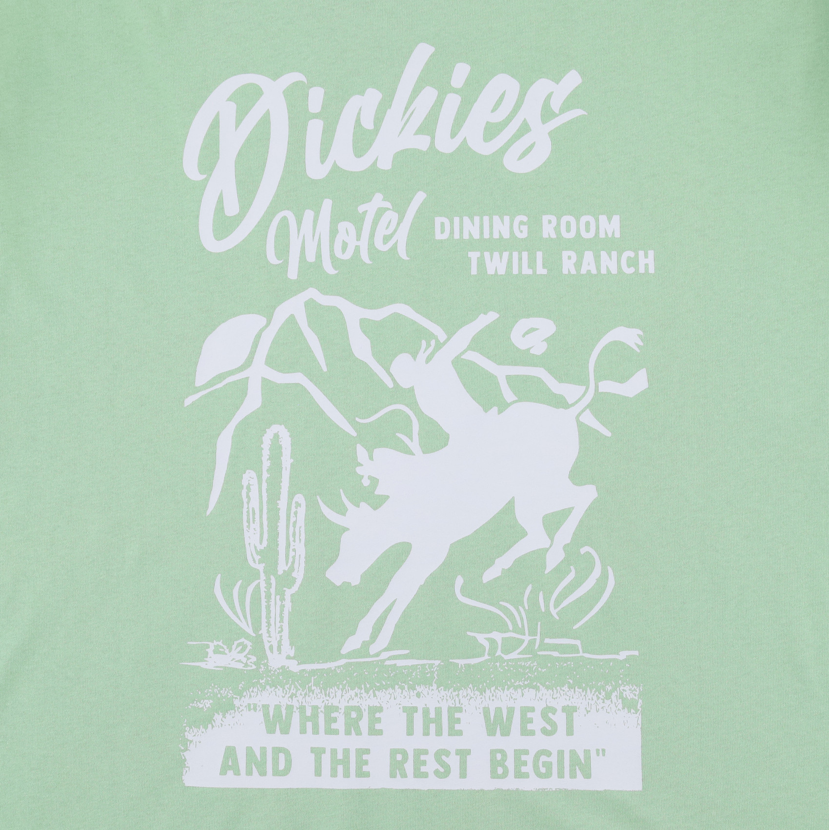 Футболка Dickies Dighton Graphic T-Shirt (quiet green) артикул: - купить в магазине Дайс