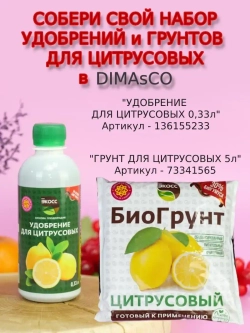 Грунт для цитрусовых растений