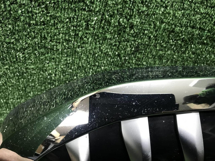 Решетка радиатора BMW X7 G07 (2019-2022)