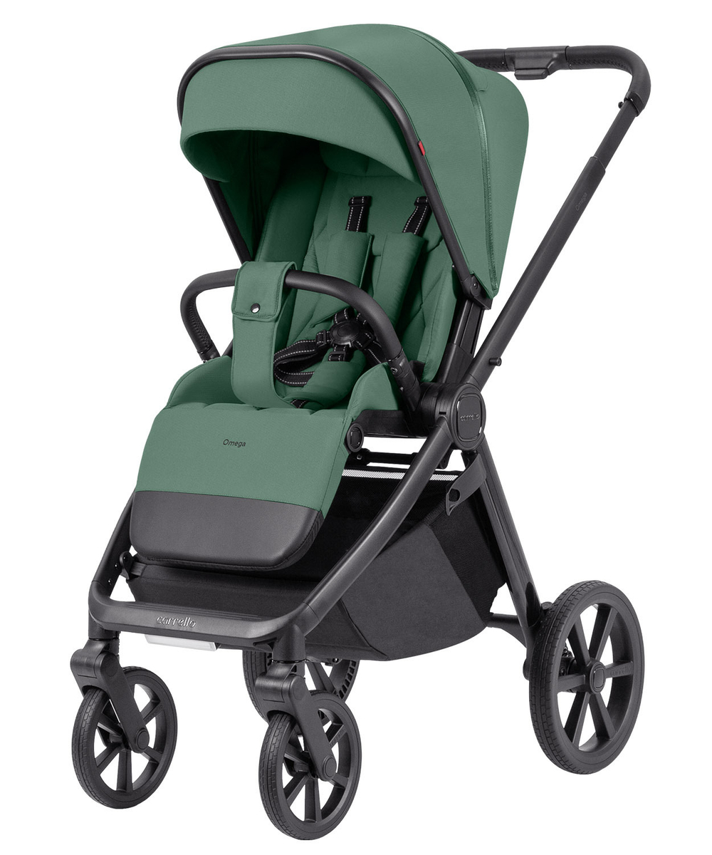 Коляска 2 в 1 Carrello Omega+ CRL-6540/1