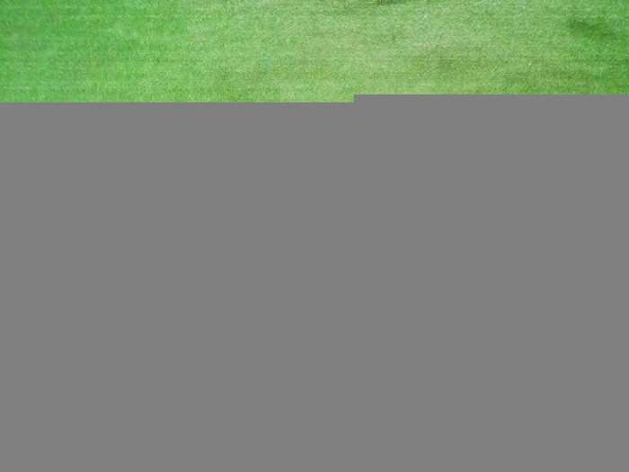DSCN2951.jpg