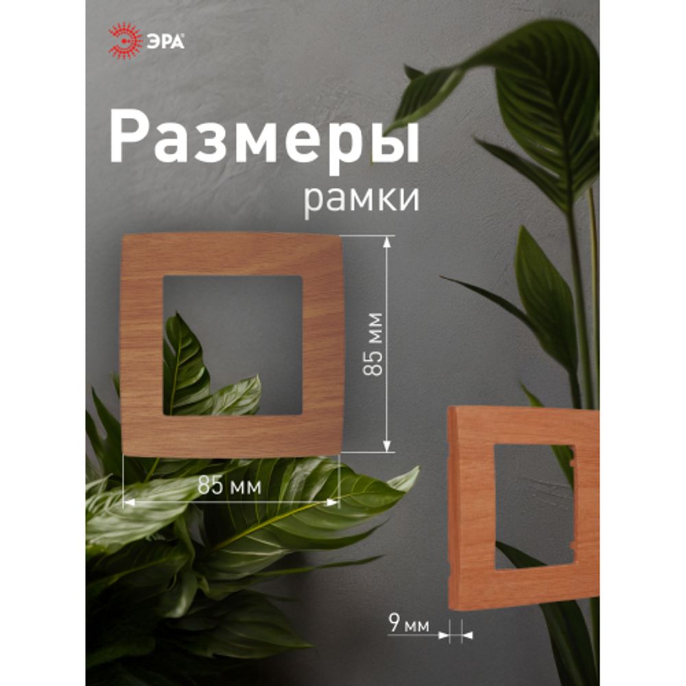 12-5001-09 ЭРА Рамка на 1 пост, Эра12, дуб | Эра 12