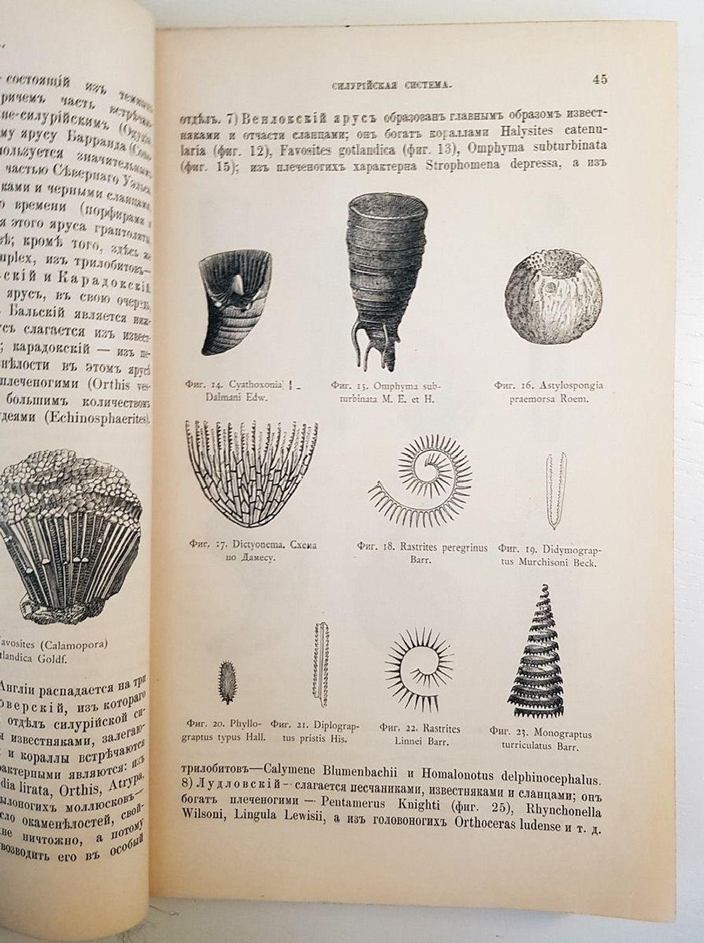 "Геология. Общий курс. В двух томах. Том 2". А.А. Иностранцев. 1887г. - антикварная книга