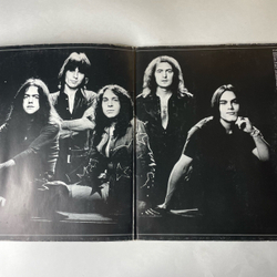 Винтажная виниловая пластинка LP Rainbow Rising (Германия 1976)