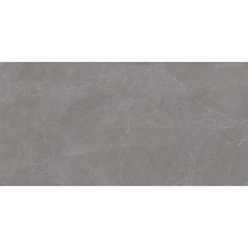 VALENCIA GREY 60x120 MATT