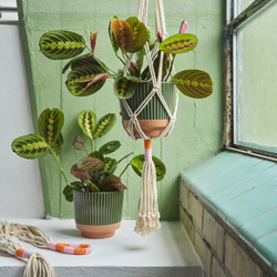 IKEA MÄVINN  (ИКЕА МЭВИНН)  -  Кашпо - зелёное/песочное