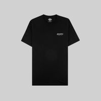  Футболка мужская Dickies Quamba артикул:DK0A4X9JBLK1 - купить в магазине Дайс