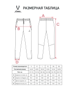 Брюки спортивные CAMP 2 Lined Pants, черный