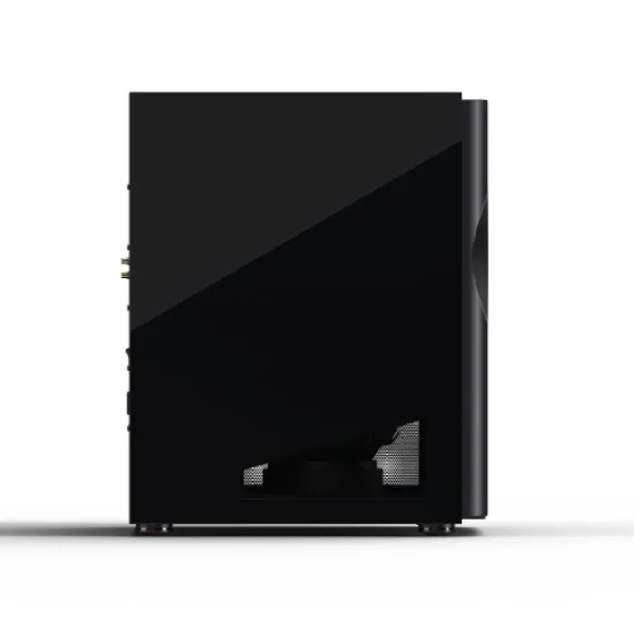 Perlisten Audio R212s Piano Black