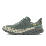 Кроссовки мужские Hoka Speedgoat 6