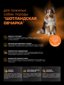 Корм сухой для пожилых собак породы Шотландская овчарка старше 5 лет, с индейкой, 12 кг, QUATTRO