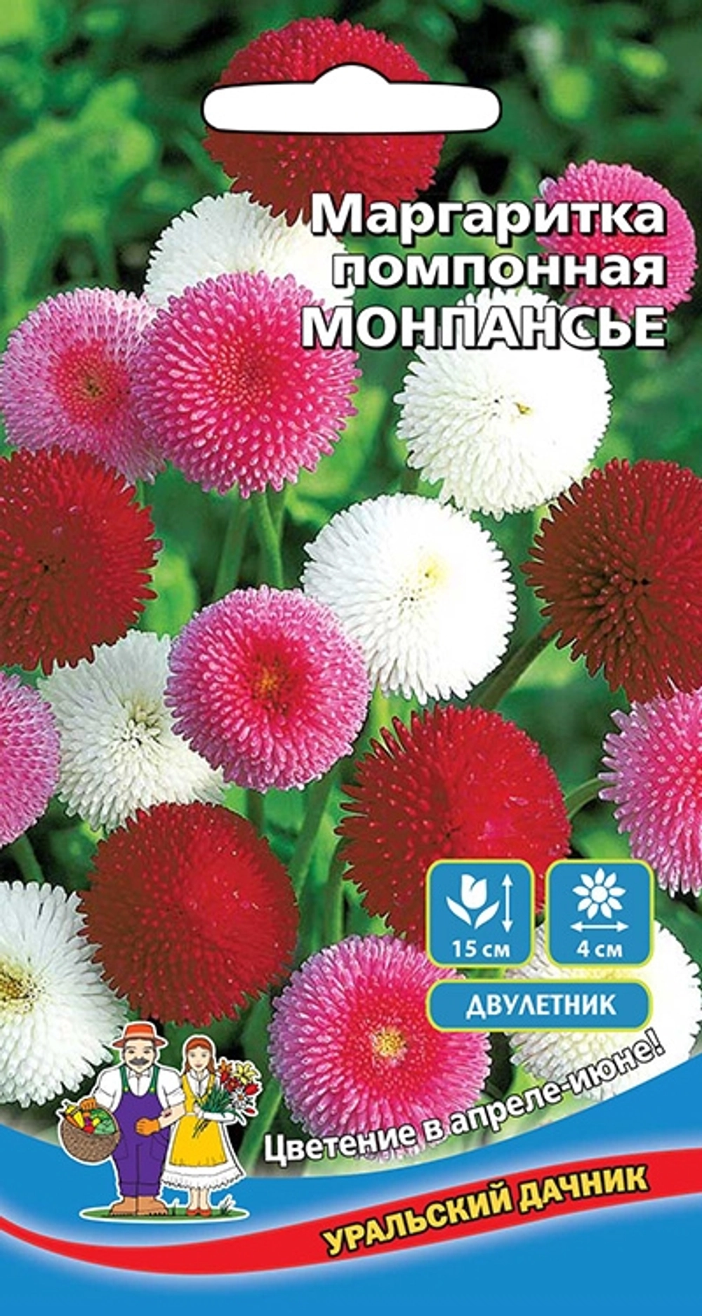 Семена Маргаритка помпонная Монпансье 0,05гр (УД) Е/П