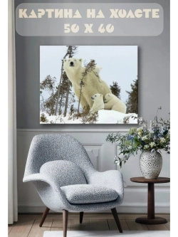 Картина на стену 40 X 50 Белые медведи