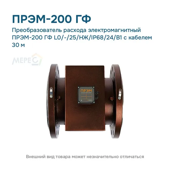 Преобразователь расхода электромагнитный ПРЭМ-200 ГФ L0/-/25/НЖ/IP68/24/B1 с кабелем 30 м