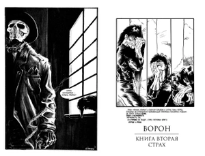 Ворон (Б/У)
