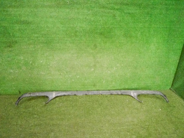 DSCN8897.jpg