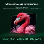 Планшет Digma Pro Evolution 8/256Gb 12.6" (TA3E2M03) серебристый