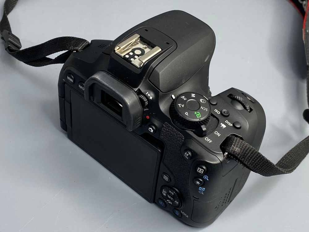 Canon EOS 850D — 13 800 кадров