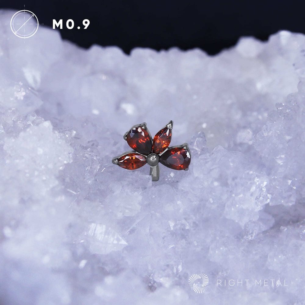 Mallow Red- Mallow Red-