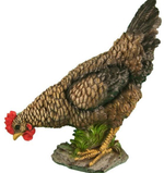 Курица клюющая