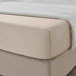 Простыня IKEA NATTJASMIN (НАТТЭСМИН), Светло-бежевый, 150x260 см