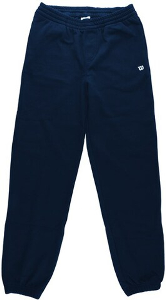 Штаны для мальчика теннисные Wilson Kids Unisex Team Jogger - небесный