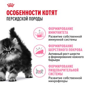 Сухой корм Royal Canin Persian Kitten для персидских котят (до 12 месяцев)