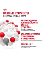 Royal Canin Maxi Adult 8+ (РоялКанин Макси Эджен 8+)для стареющих собак крупных пород (весом от 26 до 44 кг) в возрасте 8 лет и старше 15кг