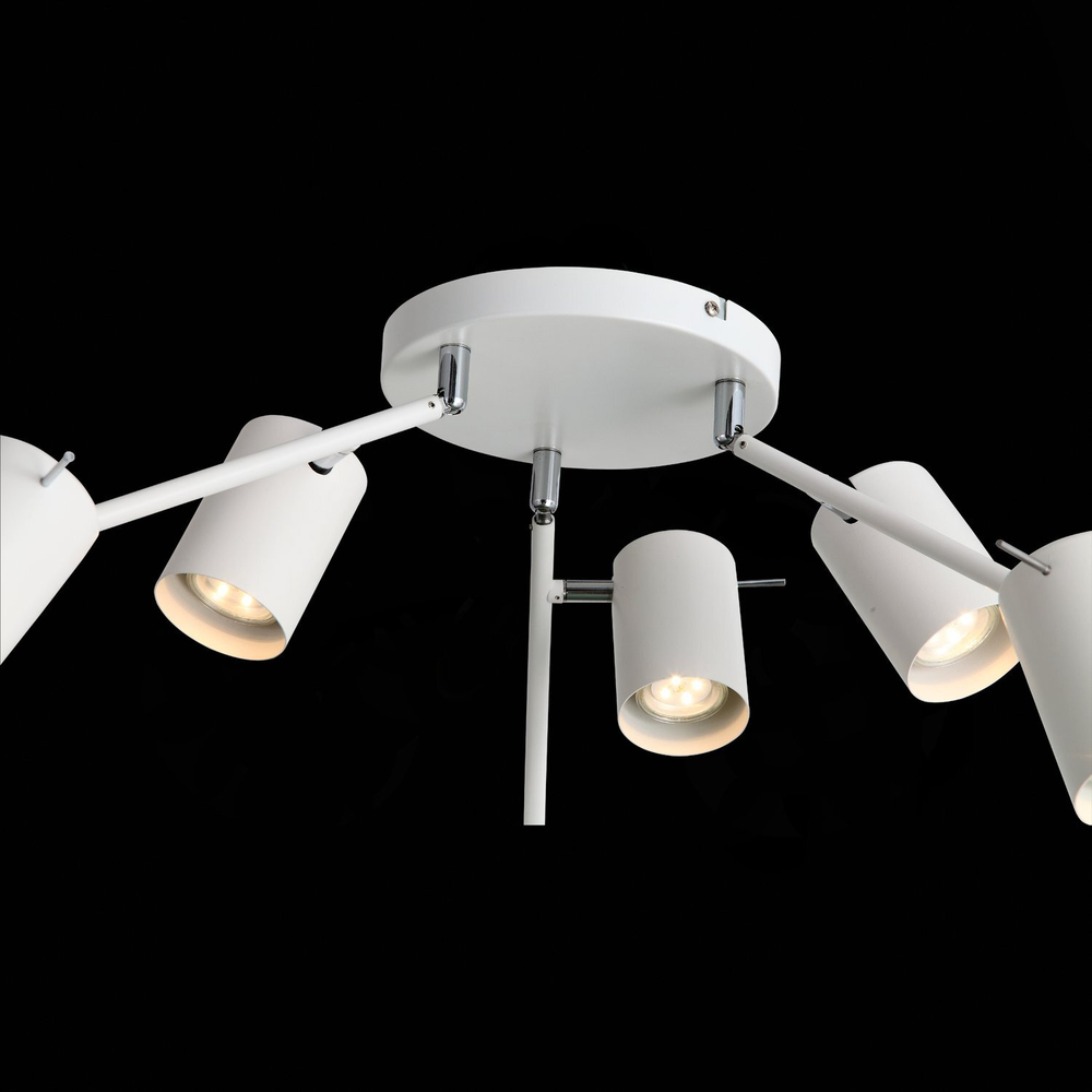 Светильник потолочный ST Luce SL597.502.06