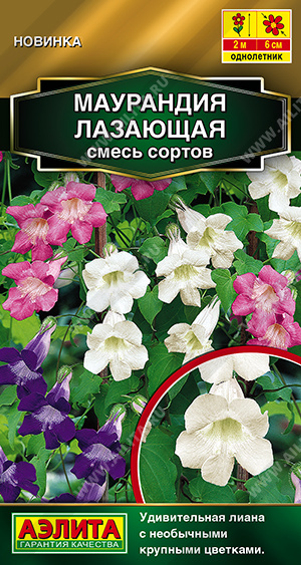 Маурандия лазающая, смесь сортов 5 шт (Аэлита)