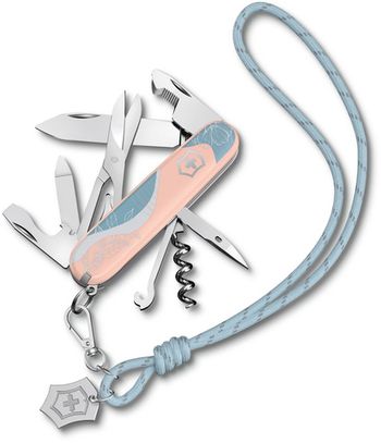 Нож перочинный Victorinox Companion Paris Style (1.3909.E221)