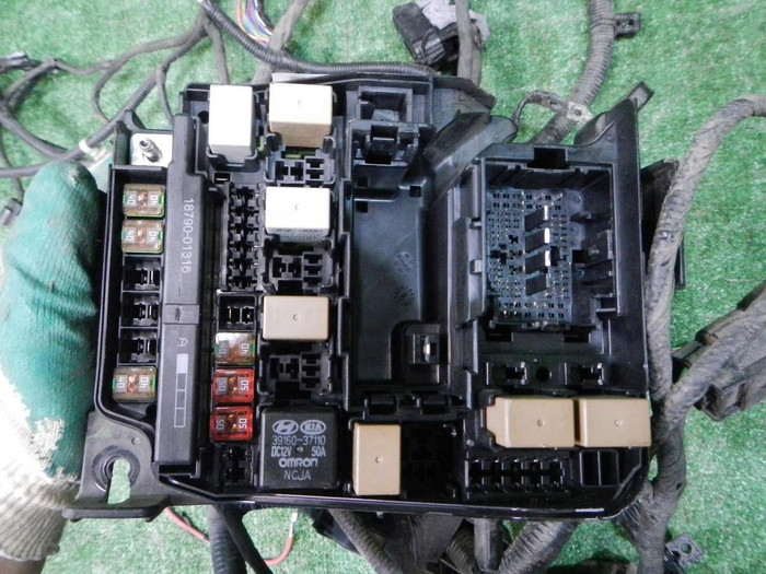 YSCN1236.JPG