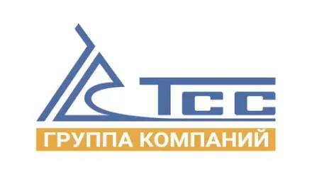 Дизельные генераторы  TSS