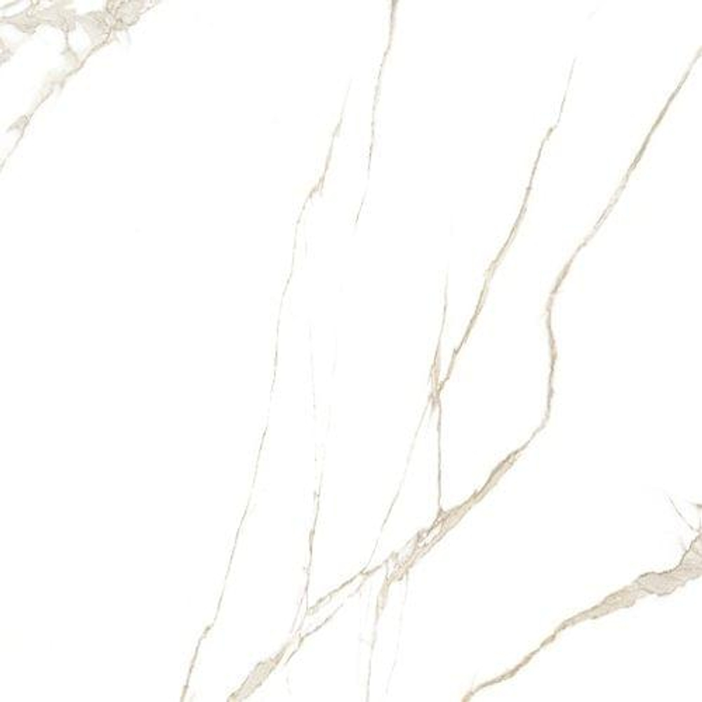 Forte Luc 60x60