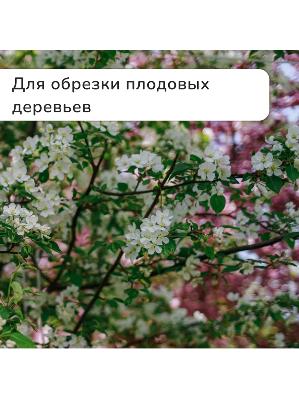 Секатор плоскостной