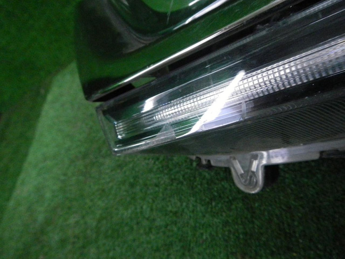 DSCN3770.JPG