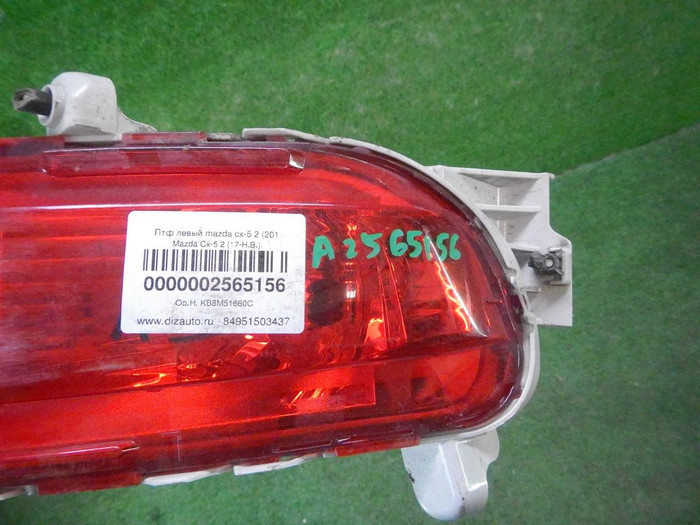 DSCN3979.JPG