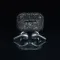 Apple AirPods Pro 2 USB-C Swarovski Crystal Black