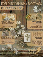 Багульник болотный (побеги) для очищения и защиты